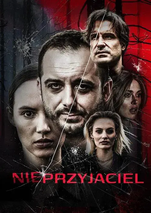 《血色断片》波兰烧脑片免费观看-高清在线完整版-电影详情剧情解析-迅雷下载资源分享