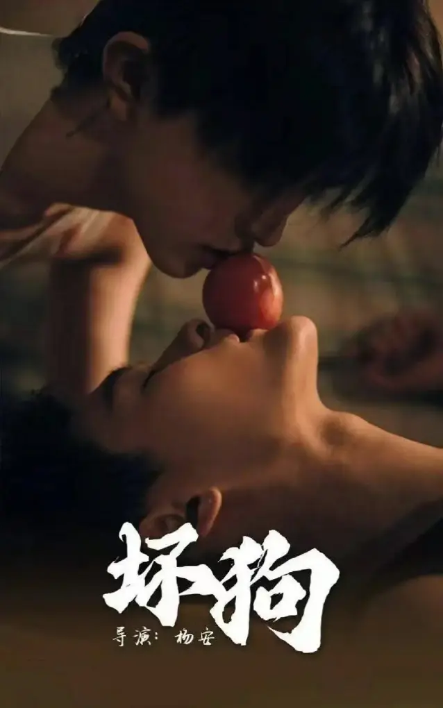 短剧《坏狗》1080P高清全集资源-《坏狗》无删减版免费在线观看-夸克网盘迅雷下载地址