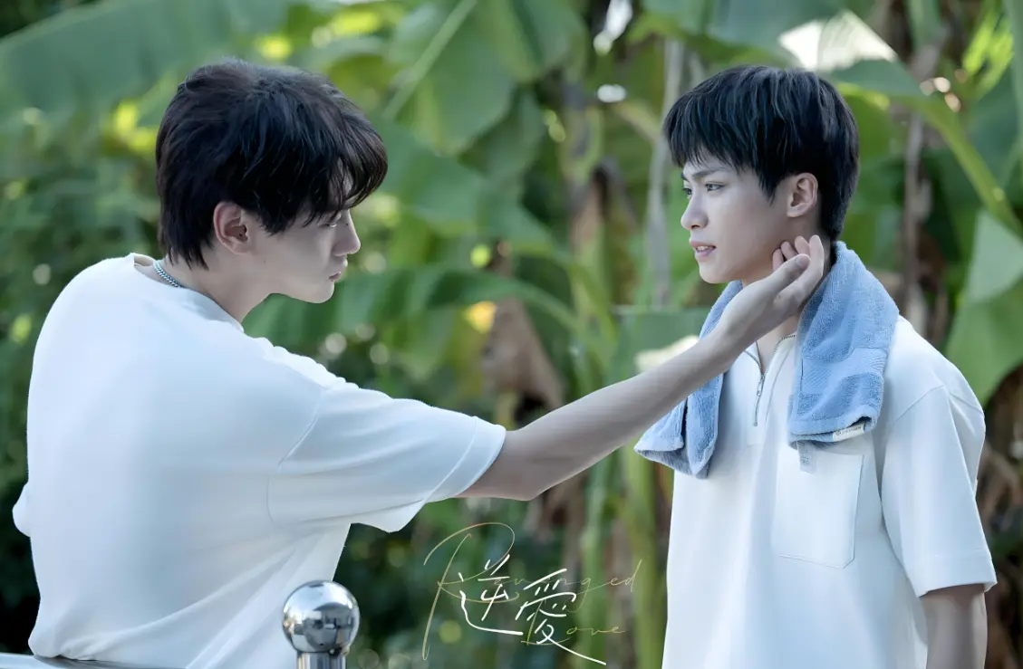 《逆爱/顺恨》双男主短剧2025全集高清播放 - 无广告在线观看完整版 - 顺恨/逆爱1 - 24集全季 - 田栩宁梓渝主演短剧资源