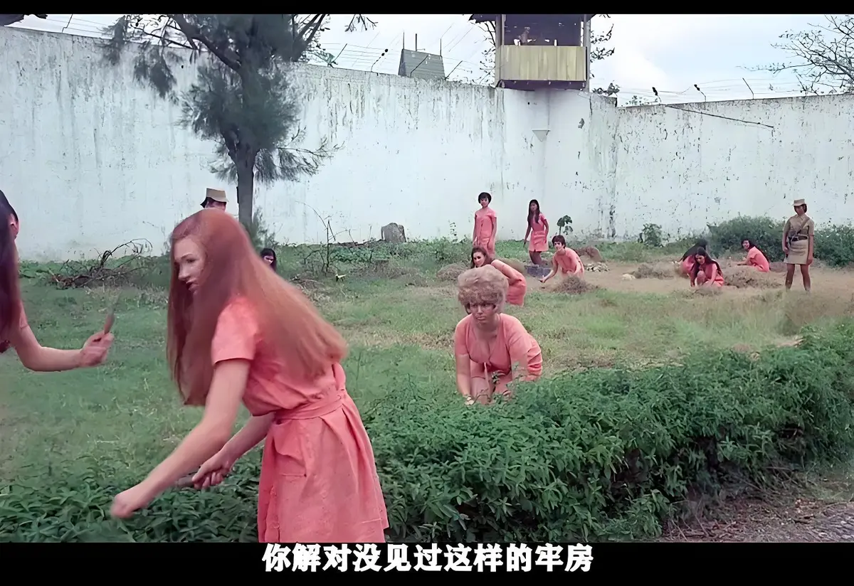 《玩偶屋》电影完整版未删减 - 美国复古犯罪片HD在线播放 - 无广告流畅观看