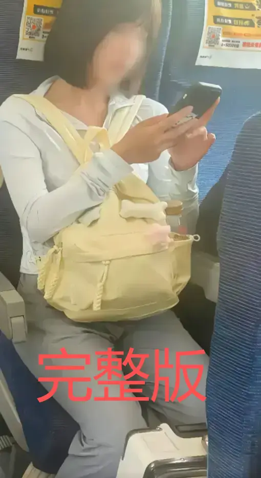 高铁短发女孩54秒原视频-全网疯传的高铁妹子梗是什么-含多种网盘资源下载方式-持续更新最新60秒视频