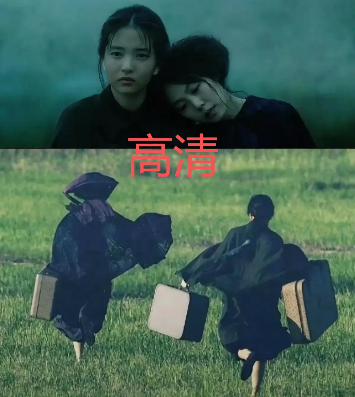 《小姐》韩国电影高清完整版在线观看-无广告1080P超清画质-小姐HD中字免费播放-流畅无卡顿观影体验