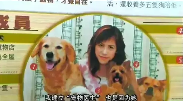 《女人与狗》高清未删减版全集资源下载-欧美电影《女人与狗》1080P完整版免费在线观看-无广告夸克网盘播放