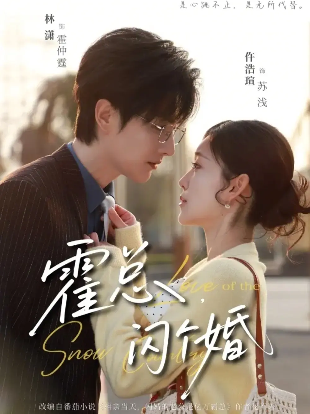 《霍总，闪个婚》短剧全86集免费观看-高清无删减完整版在线播放-林潇仵浩碹主演《霍总，闪个婚》