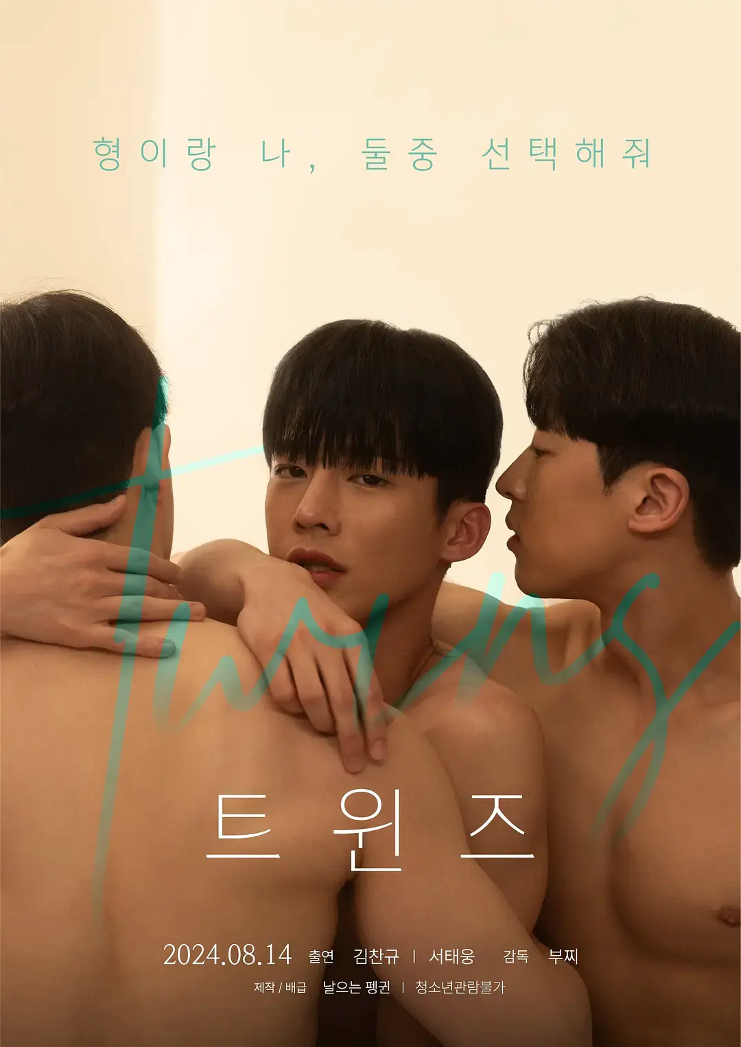 《双胞胎》2024韩国电影高清免费在线观看-双男主剧情HD高清完整版-1080P无广告流畅播放-星空影院独家资源