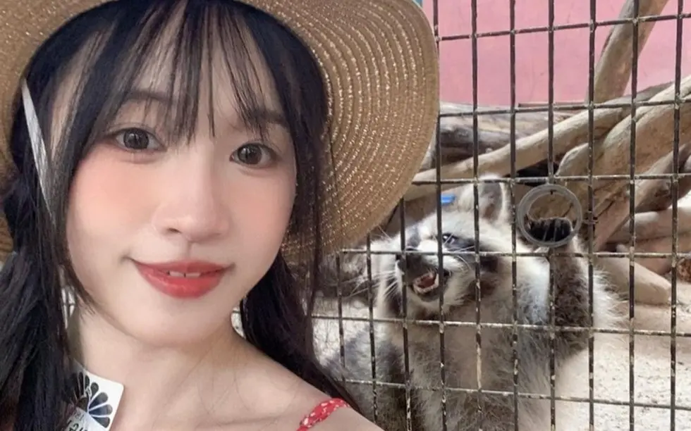 国产剧《苏畅》全集1080P高清播放-苏畅主演作品免费在线看-全网同步更新无广告