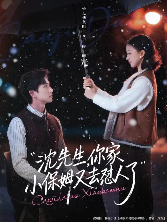 短剧《沈先生，你家小保姆又去怼人了》全集播放 - 82集全陈政阳廖银玥主演 - 1080P高清无删减在线观看 - 网盘资源可看可下