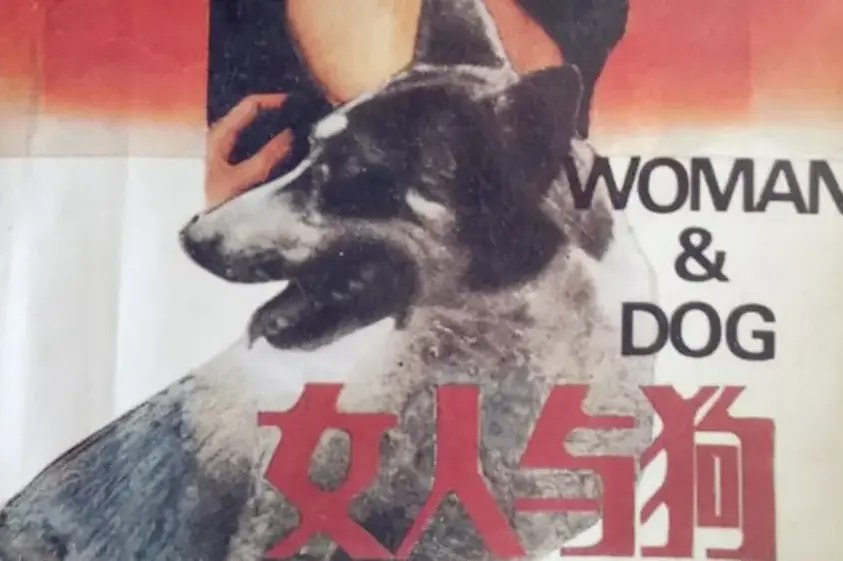 《女人与狗》完整版免费观看 - 欧美剧情电影《女人与狗》HD高清中字无删减 - 全网同步更新在线播放