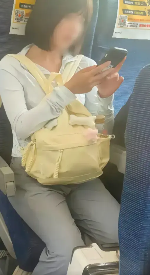 高铁短发女孩原视频54秒后续-高清完整版观看-网盘资源下载-百度云/夸克迅雷UC阿里云