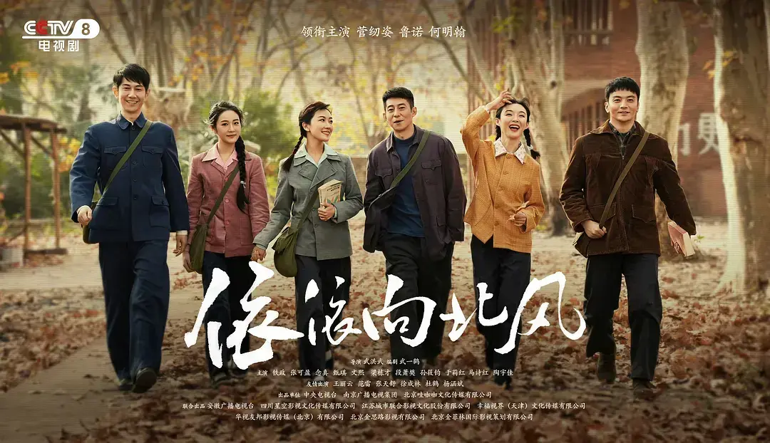 《依依向北风》国产剧无删减版 - 高清全集在线播放 - 完整版网盘资源免费看