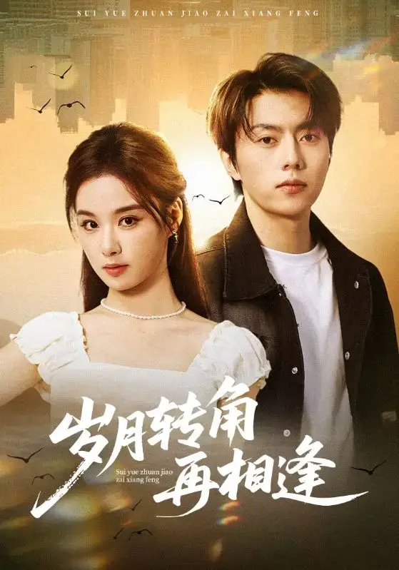 《岁月转角再相逢》全季无广告免费看-都市情感短剧《岁月转角再相逢》在线播放-高清完整版资源