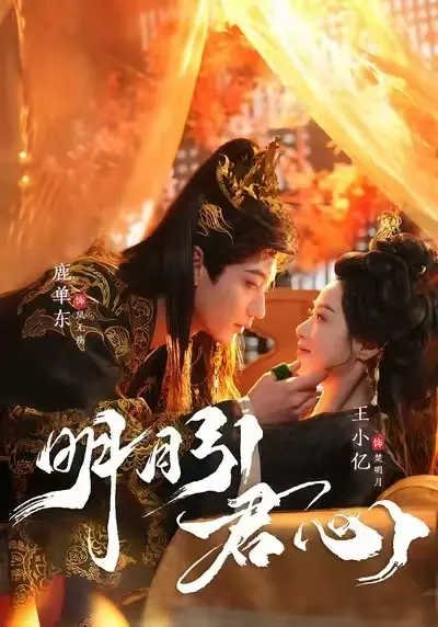 《明月引君心》完整版HD高清在线观看-全集无广告免费看