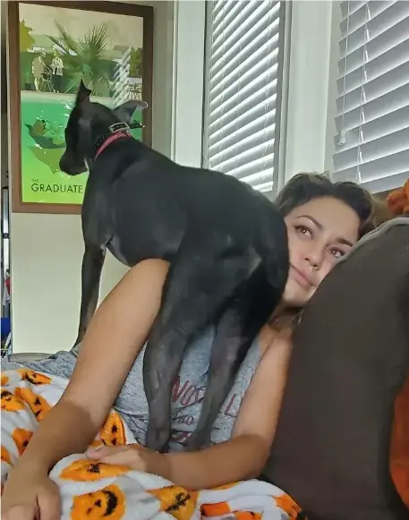 《女人与狗》HD高清完整版在线播放-女人与狗未删减中字免费观看-剧情片《女人与狗》1080P无广告资源下载