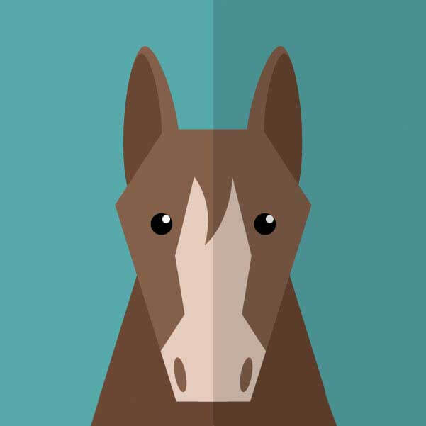 《不忠》韩国电影未删减版1080P-不忠高清完整版免费在线观看-全网同步更新无广告播放