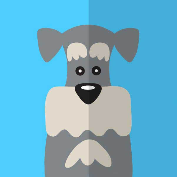 1080P超清画质《男男钙片》在线看-完整视频无删减版免费观看-内含高清观看入口-网友推荐：这段必看！