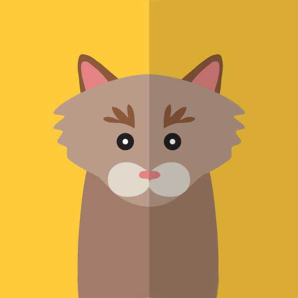 法国电影《夏日搭车客》高清完整版在线观看-1080P超清画质免费播放-未删减经典剧情片